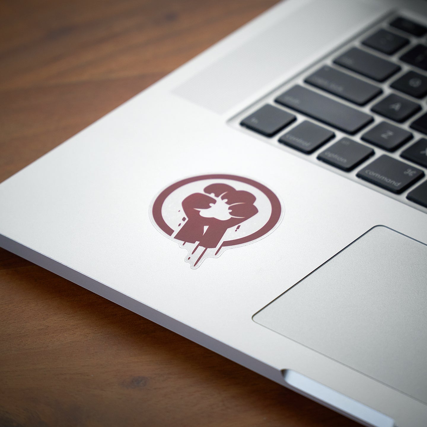 S.A.S.R. Logo Sticker