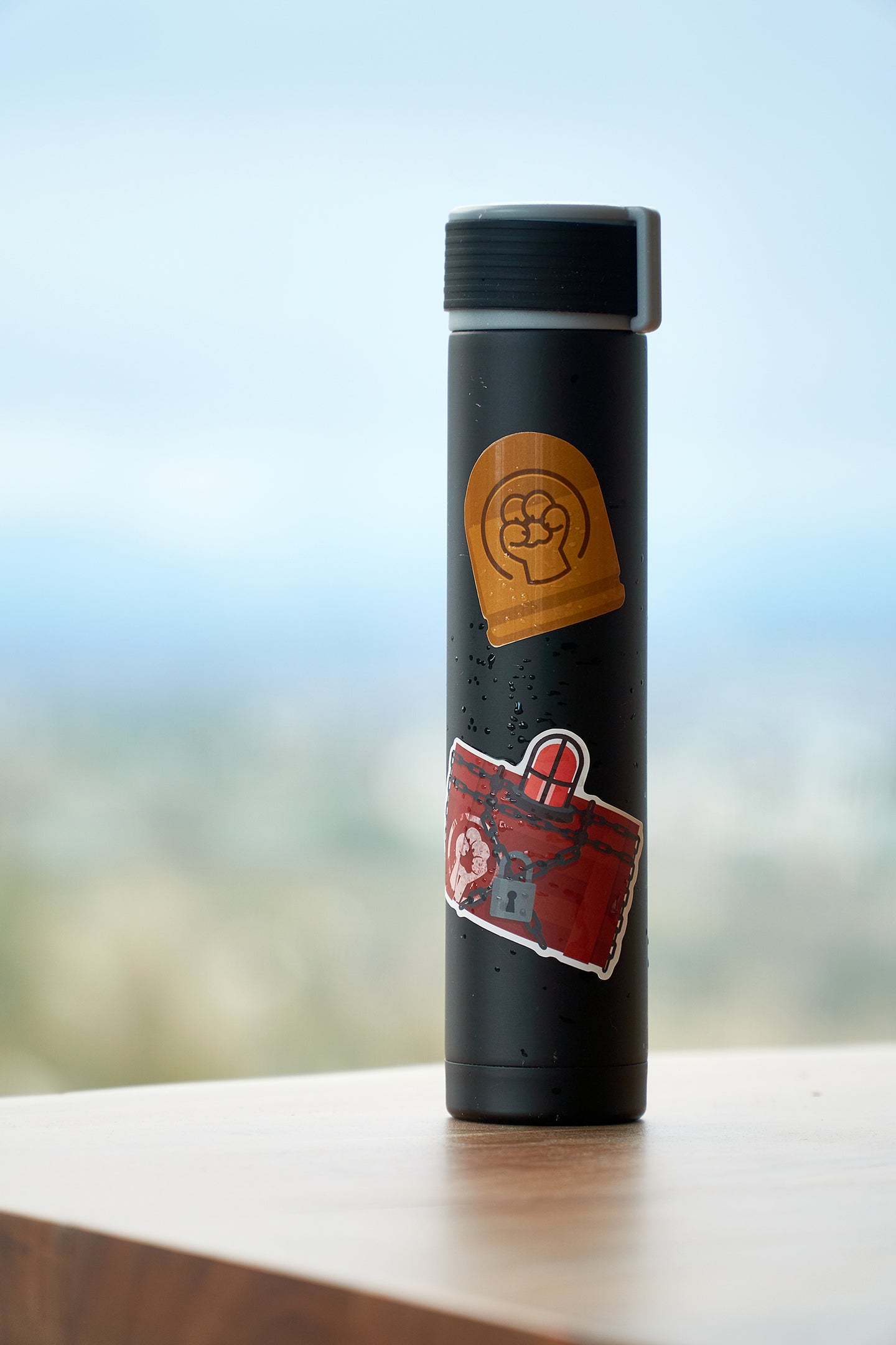 Rebel Cache Sticker